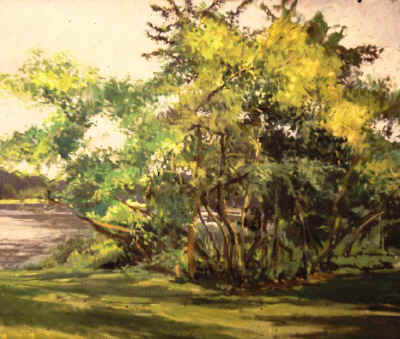 copse_o_trees_park_lake_93.jpg (120770 bytes)