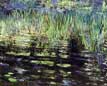 dark_water_and_reed_grass_b.jpg (3007 bytes)