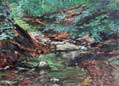 hedden_park_gorge_c.jpg (3179 bytes)