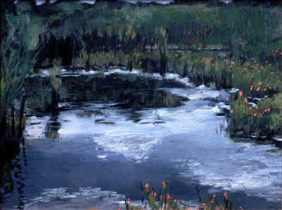 meadowlands_pond_86.jpg (122006 bytes)