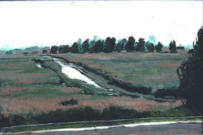 meadowlands_tributary_82.jpg (49644 bytes)