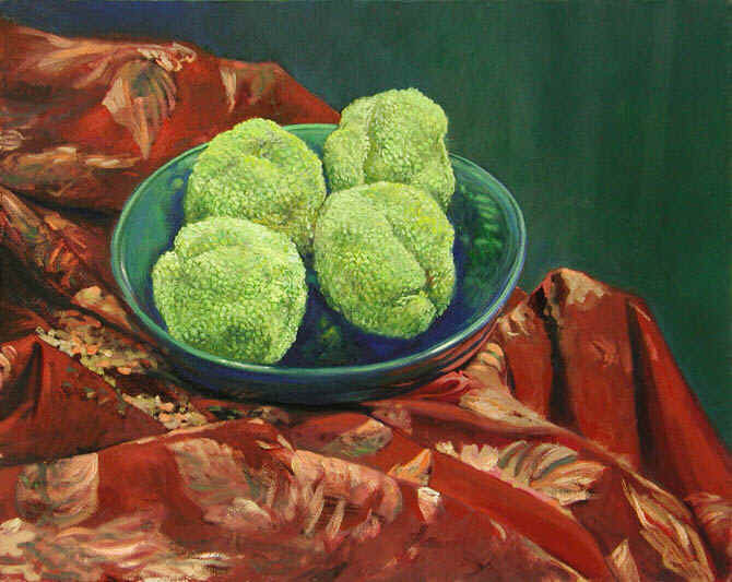 osage_orange_still_life.jpg (95177 bytes)