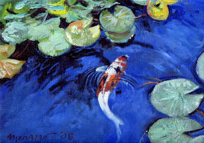 mottled_koi_5x7.jpg (303889 bytes)