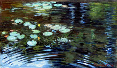 ripples_7_halfx12_half.jpg (315013 bytes)