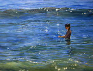 catching_the_glimmer_24x30.jpg (220286 bytes)