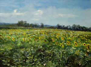 sparta_sunflowers_18x24.jpg (269158 bytes)